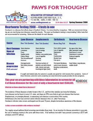 WVS newsletter front
