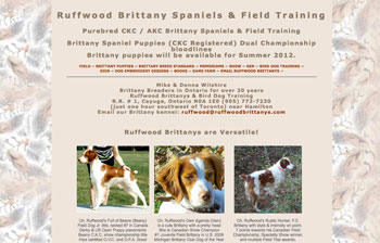 Ruffwood Brittanys website design